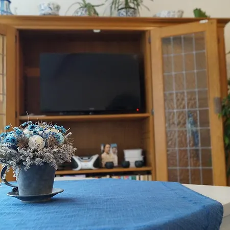아파트 Haus Schnettler 에르발트